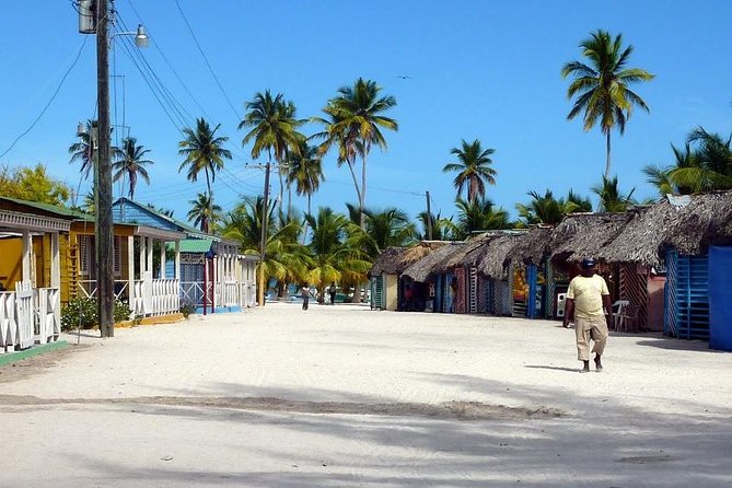 Saona Island VIP - Full Day Excursion - Common Questions