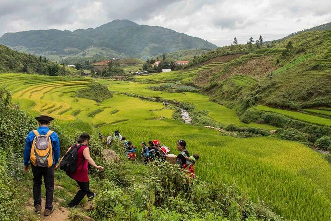 Sapa Fansipan Trekking Tour 4 Days 3 Nights - The Sum Up