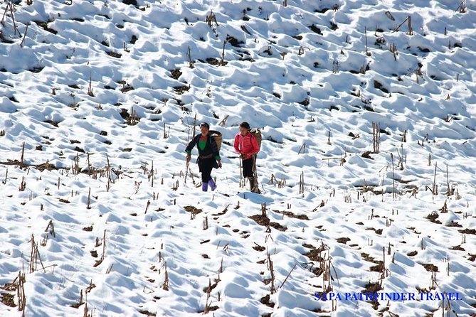 Sapa Trekking Tour With Local Full Package by Bus 4N3D - Accommodation Options