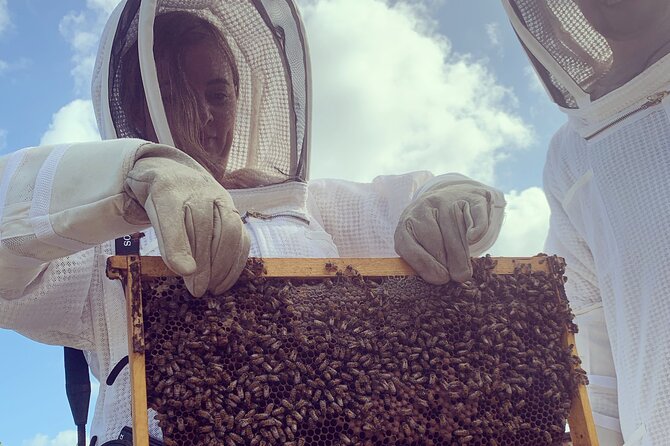 Savannah Small-Group Beekeeping Tour  - Grand Cayman - What to Expect on the Tour