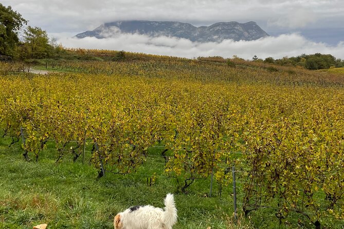 Savoie Wine Tour From Courchevel Winter Season - Cultural and Historical Attractions