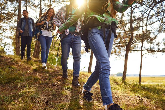 Scavenger Hunt Bad Schandau- Independent Discovery Tour of Saxon Switzerland - Additional Information