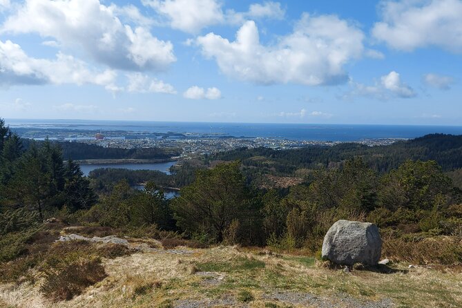 Scenic Tour to Steinsfjellet, Locals at Kringsjå & Rising Tide - Cancellation Policy and Requirements