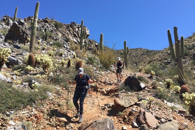 Scottsdale Desert Classic Hiking Adventure - Cancellation Policy