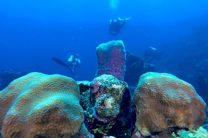 Scuba Certification - Scuba Certification Cancellation Policy