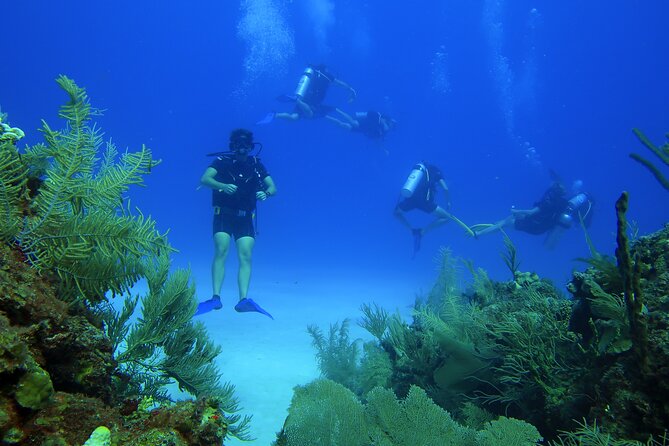 SCUBA Diving Adventure in Mahahual, SCUBA Gear Included - Tour Overview and Customization