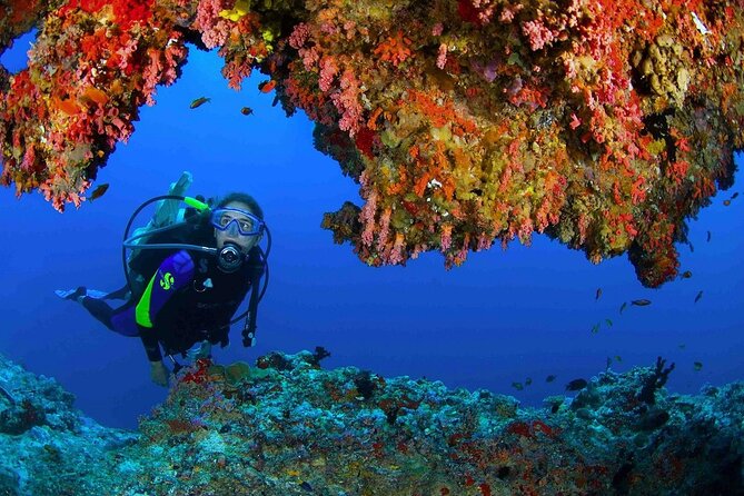 Scuba Diving at Jumeirah Dubai With Private Transfers - Meeting and Pickup Instructions