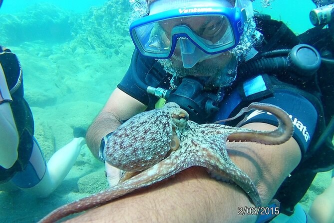 Scuba Diving Experience From Plakias - Safety Guidelines