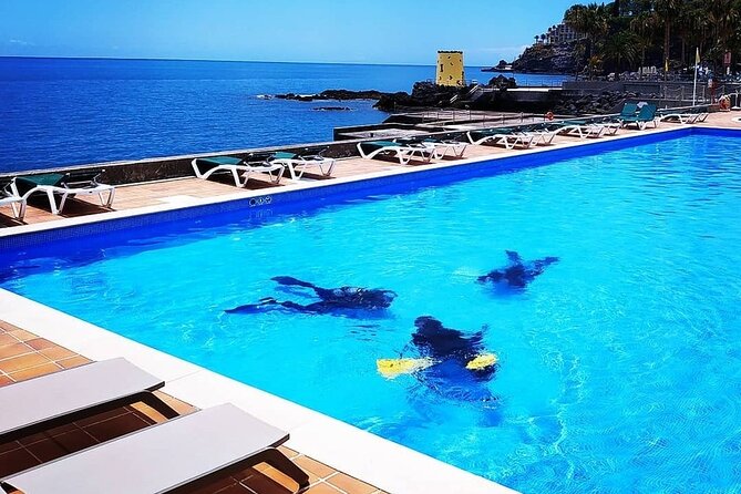 Scuba Diving Experience in Madeira - Cancellation Policy
