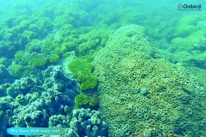 Scuba Diving for Certified Divers in Phu Quoc Island - Other Activities for Divers in Phu Quoc