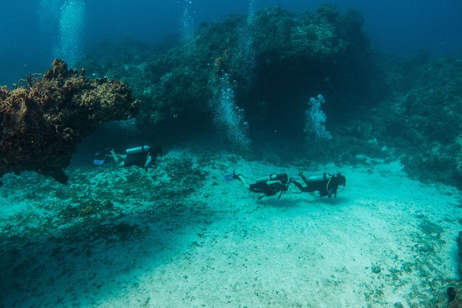 Scuba Diving in Cozumel Island - Traveler Photos