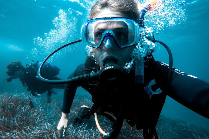 Scuba Diving Tour From Abu Dhabi to Dubai - Pickup Points