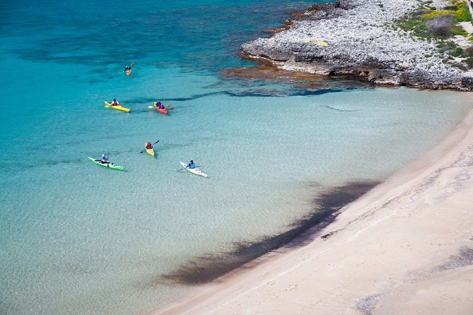 Sea Kayak in Kardamili - Common Questions