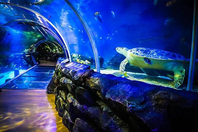 SEA LIFE Birmingham Admission Ticket - Directions and Terms & Conditions