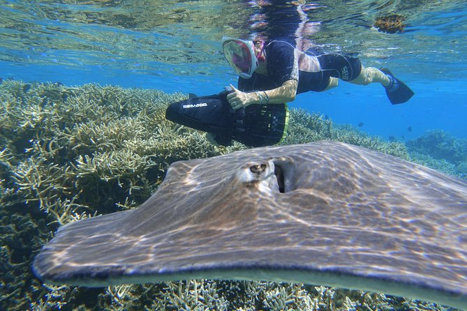 Sea Scooter Jet Snorkeling "Moorea Dream Adventure" - Pickup Points