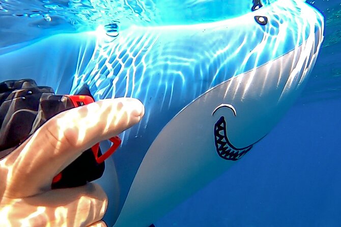 Sea Scooter Snorkel Tour - Guided Ocean Safari Reef and Lagoon Adventure - Booking and Cancellation Policy