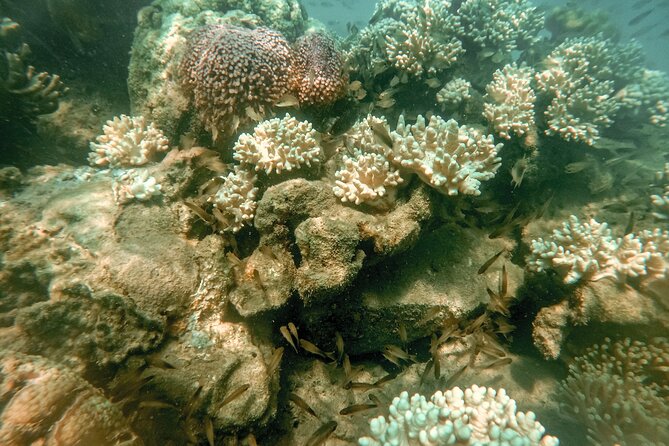 Sea Walking Nha Trang - Common Questions