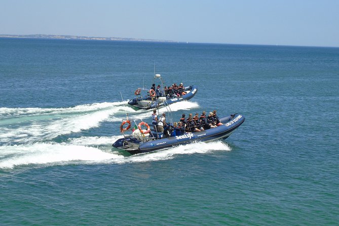 Sealife Sea Safari, Dolphin Watching With Marine Biologists Lagos - Common Questions