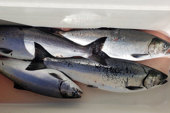 Seattle Salmon Guided Fishing Trip - Common Questions