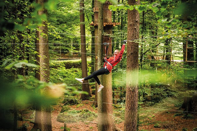 Seilpark High-Ropes Adventure Park Admission in Interlaken - Safety Guidelines and Precautions