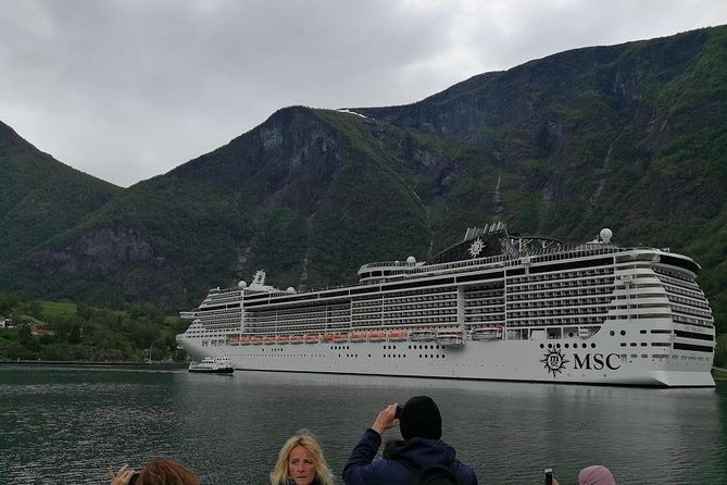 Self-Guided Day Tour - Premium Nærøyfjord Cruise & Flåm Railway - Price and Terms