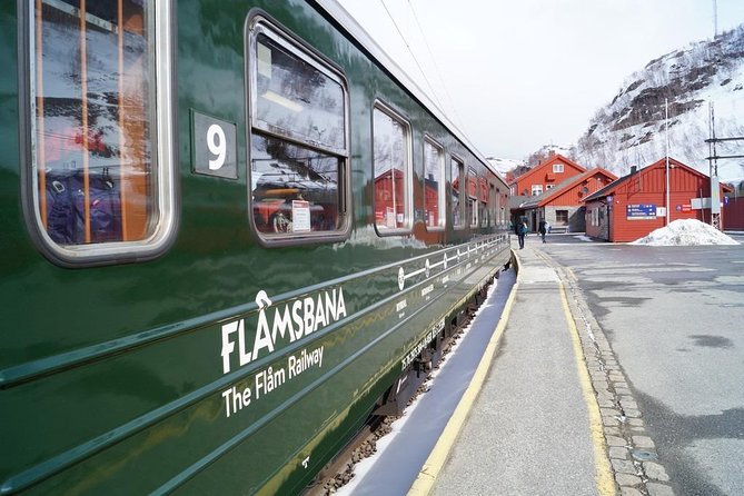 Self-Guided Day Tour - Premium Nærøyfjord Cruise & Flåm Railway - Fjord Cruise Experience