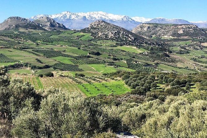 Semi Private Wine and Olive Oil Tour (Transfer & Lunch Incl.) - Additional Resources
