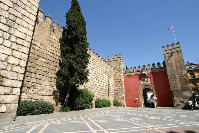 Seville One Day Trip From Granada, Alcazar, Cathedral and Giralda Guided Tour. - Reviews and Recommendations