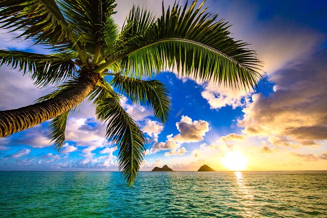 Shared Departure Transfer: Hotel to Maui Kahului Airport - Common Questions