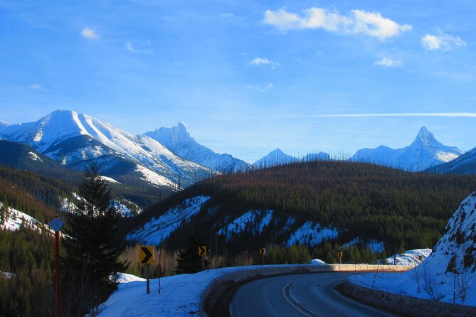 Shared Glacier Adventure: Drive and Snowshoe With Lunch - The Sum Up