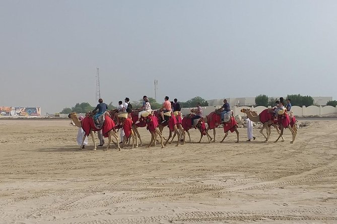 Sharing or Private Safari, Sand Boarding, Camel Ride, Inland Sea Quick Swim - The Sum Up