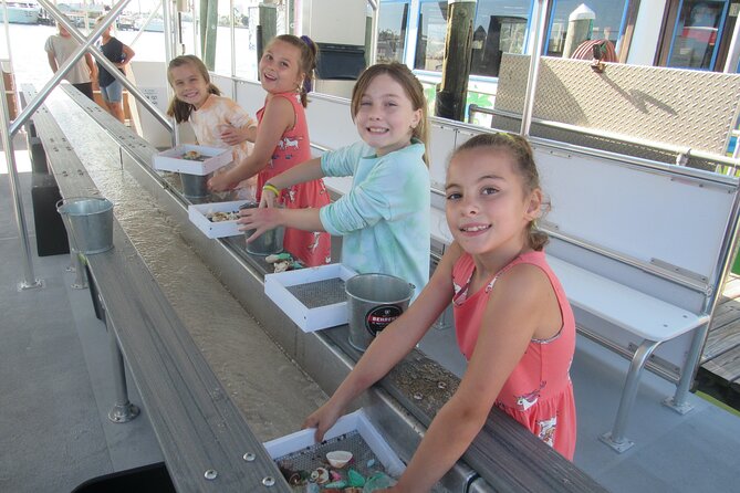 Shark Teeth and Shells, Dolphin and Shelling Tour Boat Clearwater Beach - Clearwater Beach Perspective