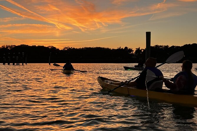 Sharkeys LED Illuminated Night & Sunset Tour on Glass Bottom Kayaks in Sarasota - Customer Reviews and Feedback