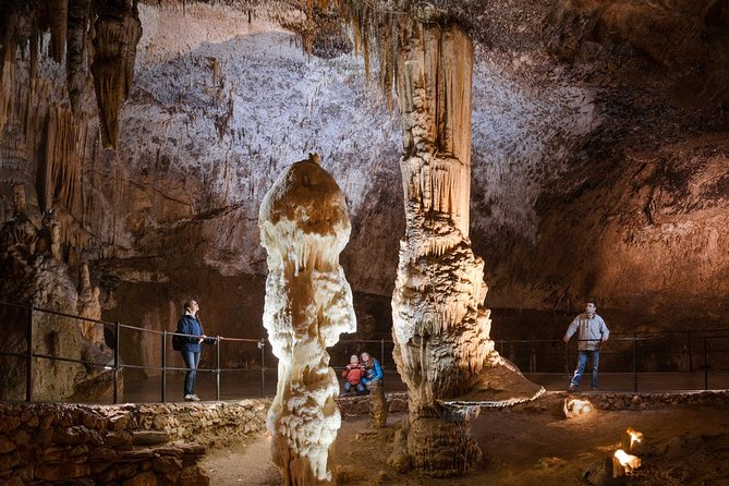 Shore Excursion Package From Koper and Trieste - Customer Reviews