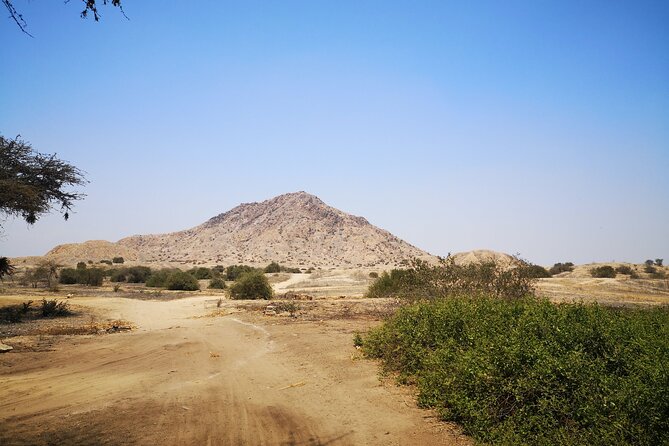 Sicán Excursion, Túcume Pyramids, and Historic and Monumental Lambayeque. - Must-See Sites in Lambayeque