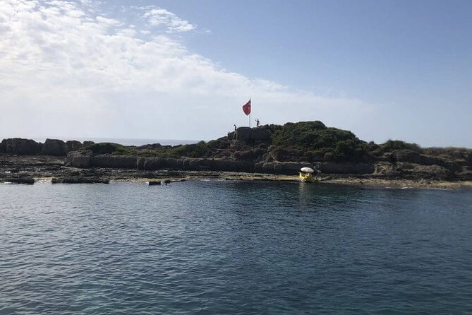 Side: Dolphin Island Boat Tour With Foam Party and Lunch - Pricing and Terms