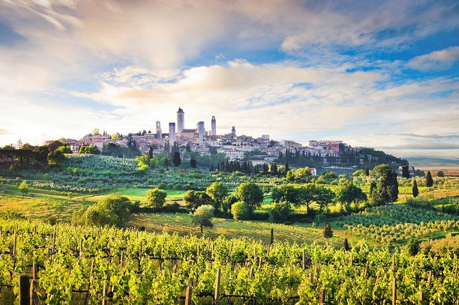 Siena, San Gimignano, Chianti Wine Region Tour From Florence - Wine Tasting and Vineyard Experience