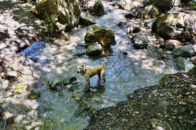 Sierra Nevada Canyon Hiking Adventure - Expectations and Requirements