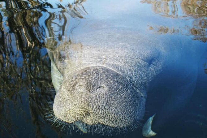 Siesta Key Guided Eco Tour - Tour Highlights