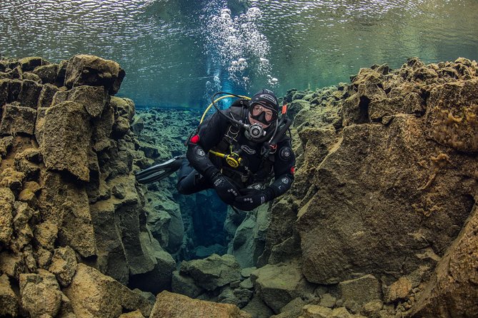 Silfra Fissure Freshwater Scuba Diving Tour From Reykjavik - The Sum Up