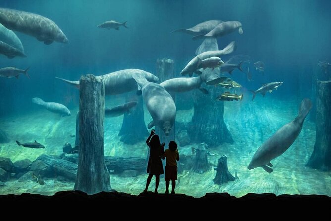 Singapore River Wonders & Night Safari ( Tickets & Transfer ) - Pricing and Group Size Options