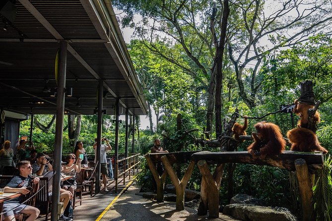Singapore Zoo With Transfer, Breakfast With Orangutans Option - Common Questions