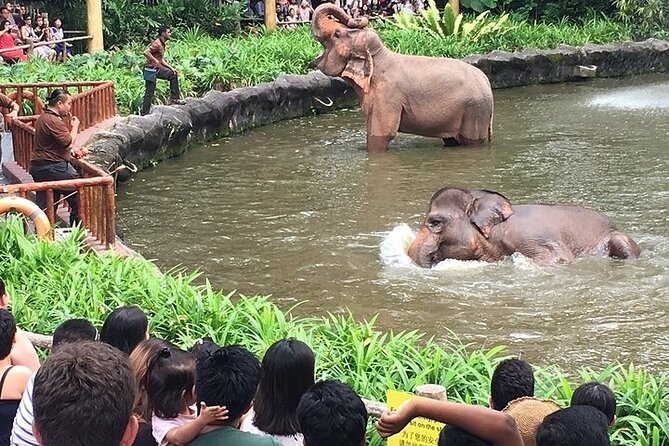 Singapore Zoo - The Sum Up