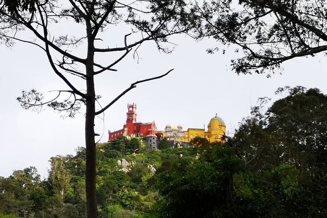 Sintra Private 1-Hour Sightseeing Ride to Pena Palace - Independent Exploration