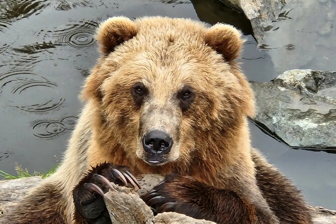 Sitkas Only Private Simply Amazing Tour - Pricing and Guarantee