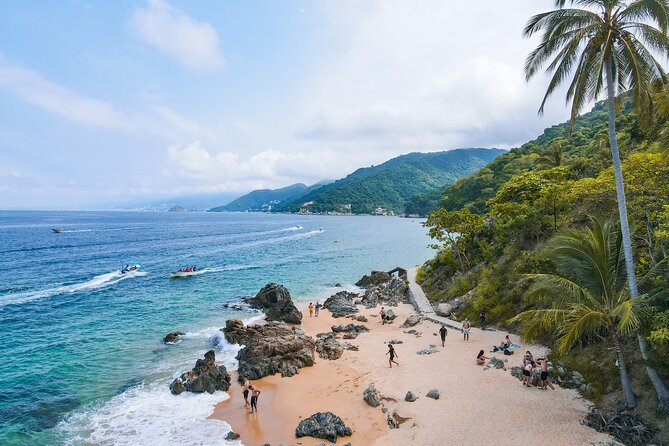 Six Hidden Beaches Hike Full-day Tour - Logistics