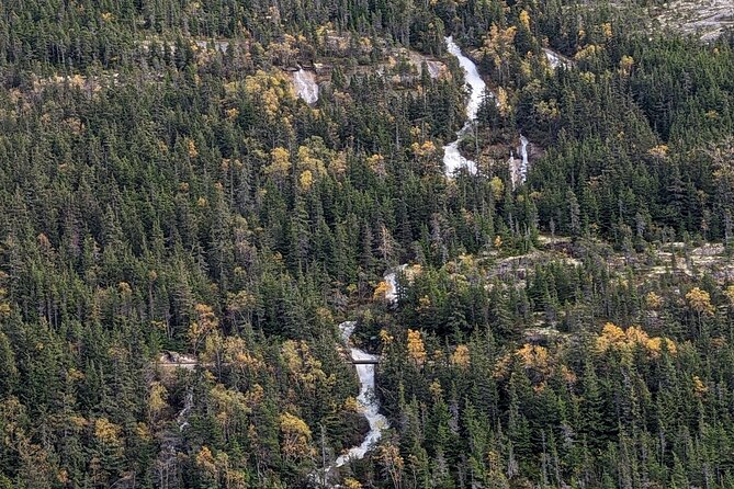 Skagway City & Summit Tour - Common Questions