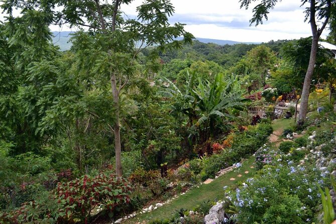 Skip the Line: Ahhh Ras Natango Gallery and Garden Admission Tickets - Overview and Features