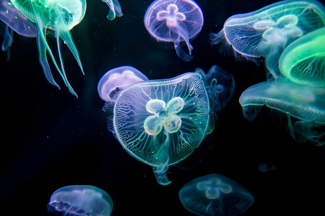 Skip the Line: Antalya Aquarium Ticket - Questions and Inquiries