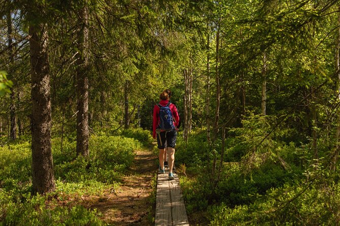 Skjennungen Forest Hiking Adventure  - Oslo - Cancellation Policy and Additional Information